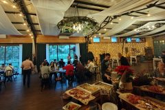 03-laser-ing-domjenak-2025-kurilovec